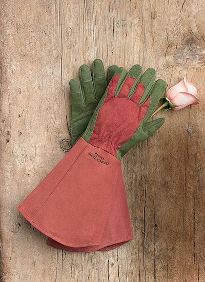 guanti potatura rose