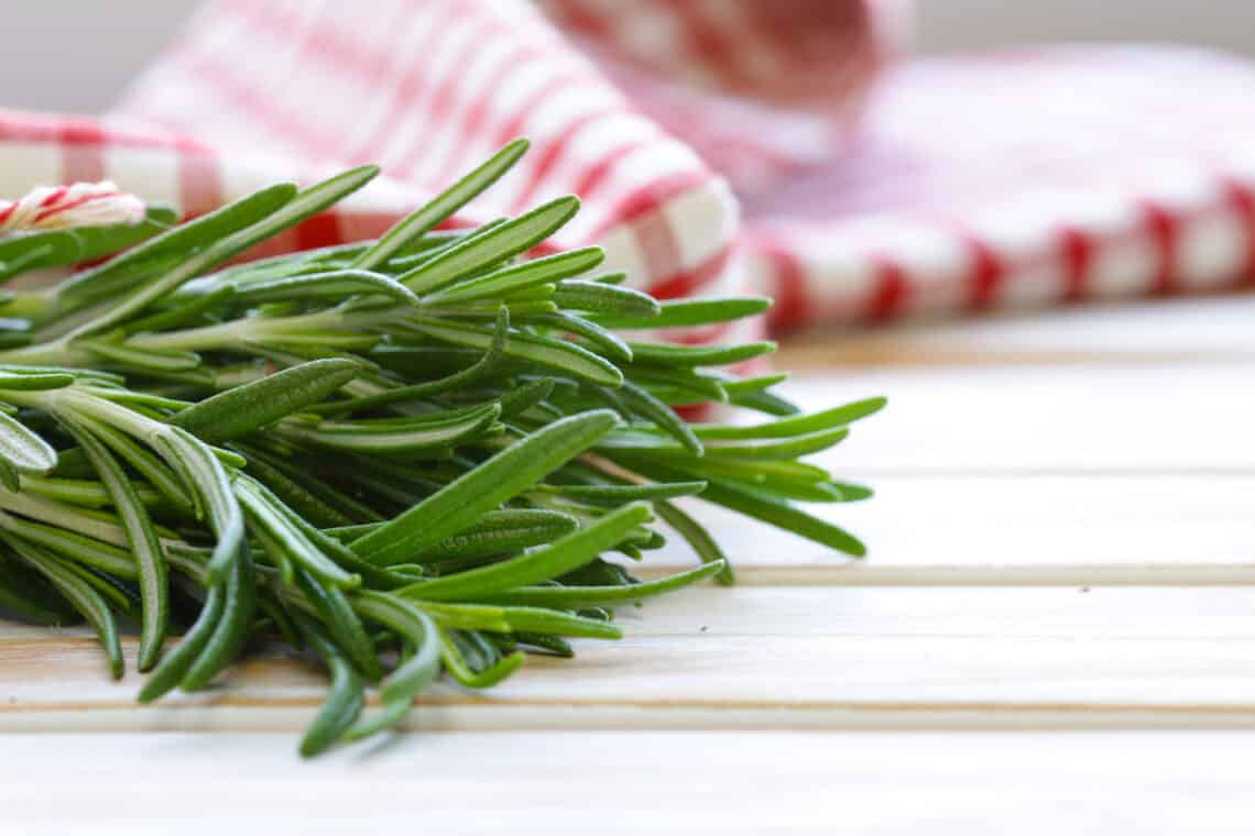 Come coltivare il rosmarino Verde Pisello Come coltivare il rosmarino Verde Pisello