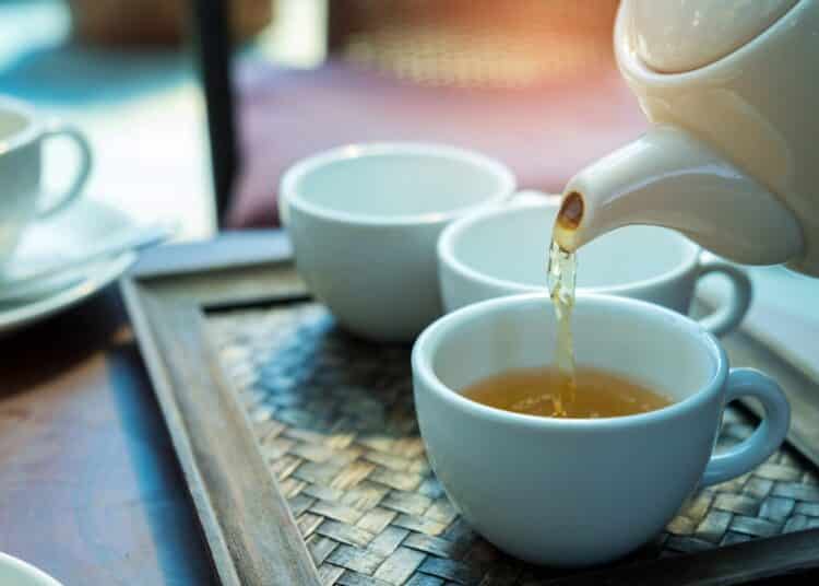 tè bianco benefici e proprietà